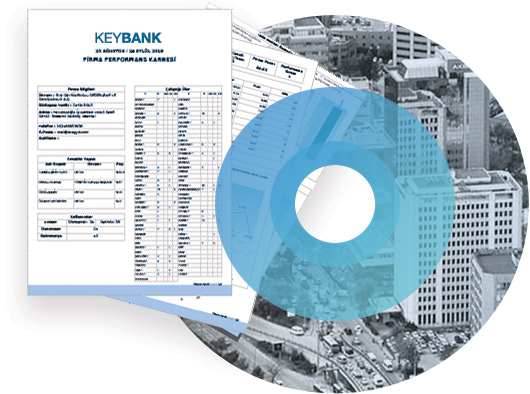 INVEX Değerleme Verileri ve Veri Grupları